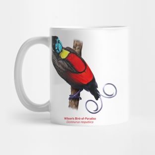 Wilson's Bird-of-Paradise | Cicinnurus respublica Mug